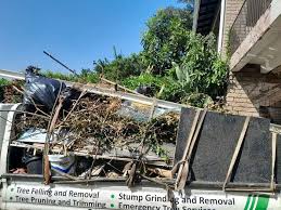 Best Basement Cleanout  in South Laurel, MD